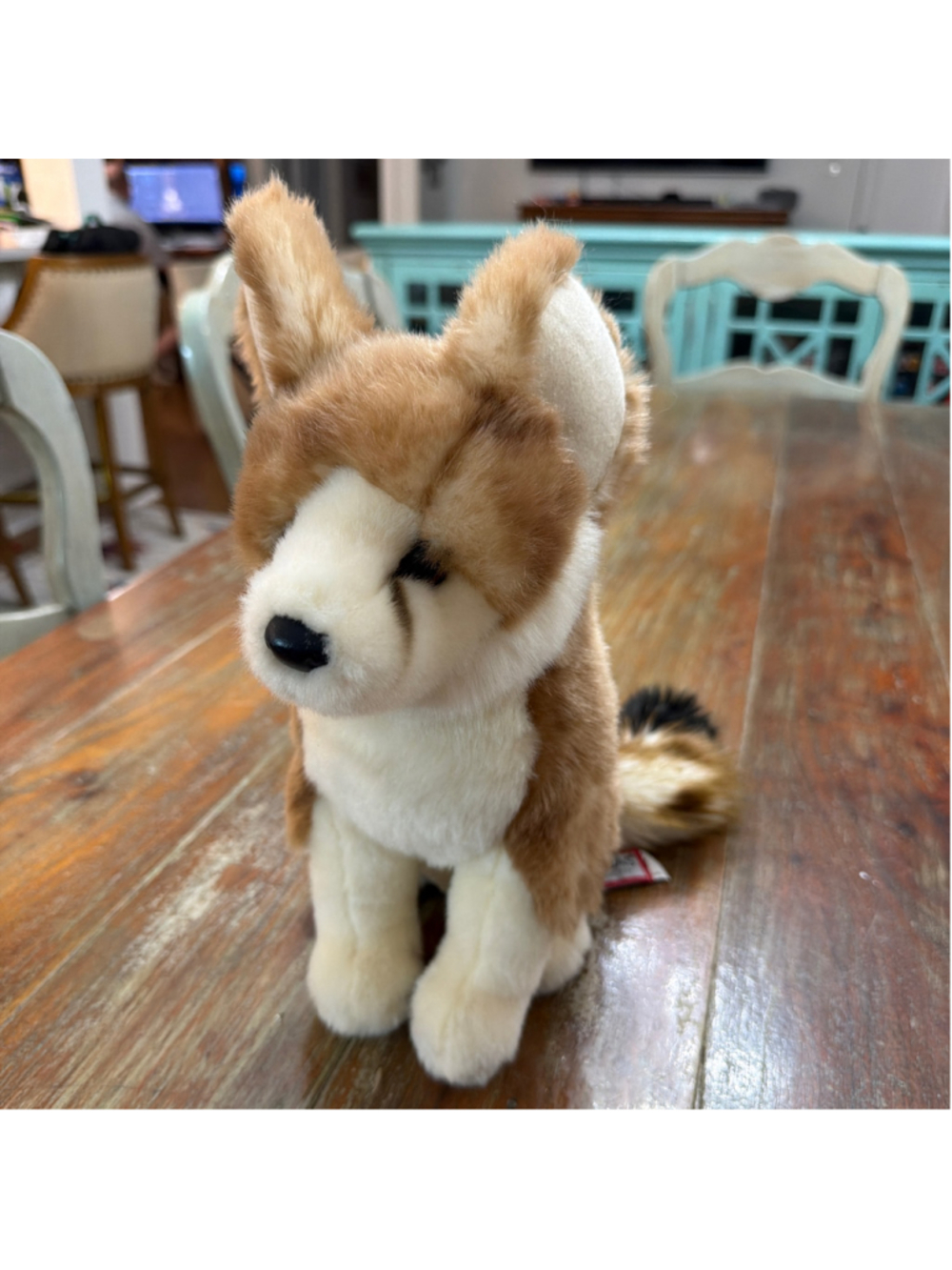 Douglas Cuddle Toys Sly Fennec Fox Plush Stuffed Animal 11 Inch Item 259